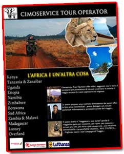 Catalogo Africa CimoService 2009