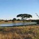 botswana parco