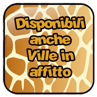 promo affitti