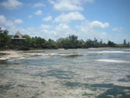 Bassa Marea
